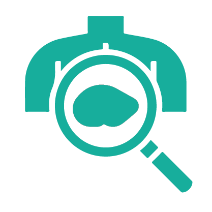 Internal medicine, internal medicine doctor